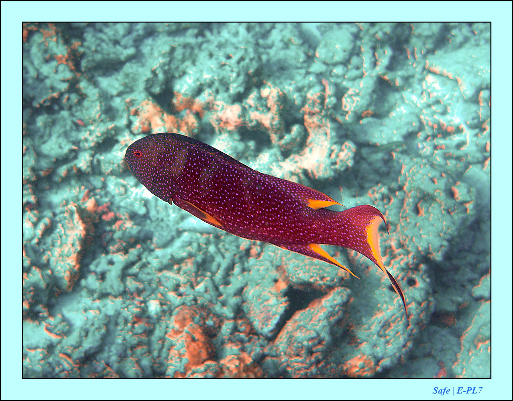 2023 - 07 - Sandies Bathala - 214